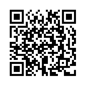 Paul Amonson's Resume